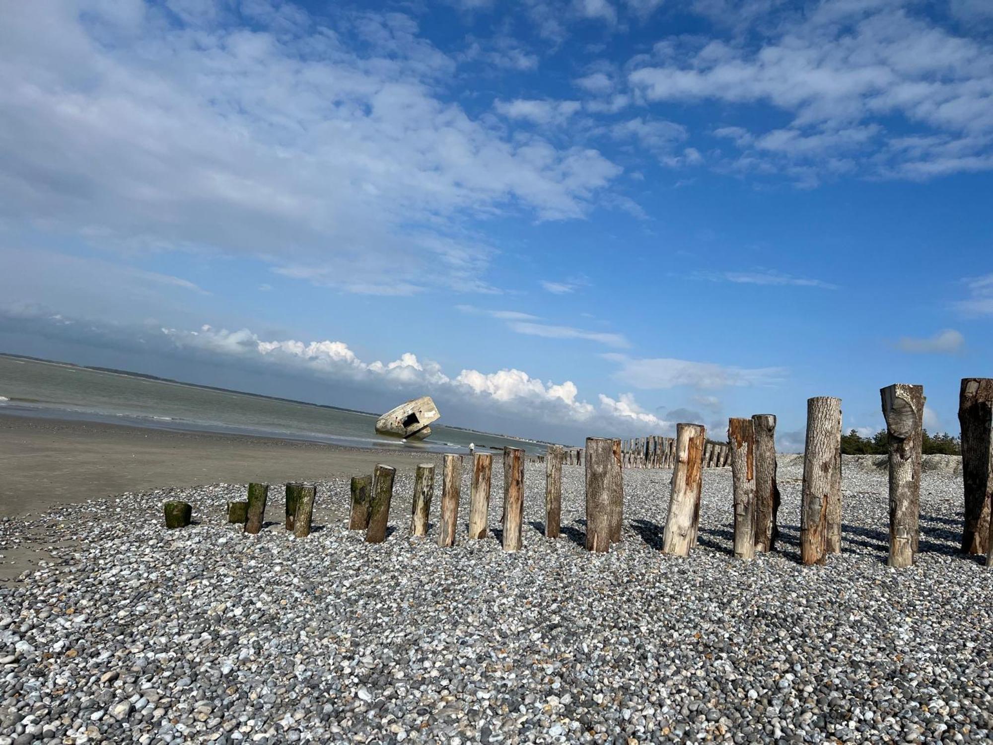 Plage A 50M Appartement Reves De Mer Villa Les Bains De Mers Exterior foto